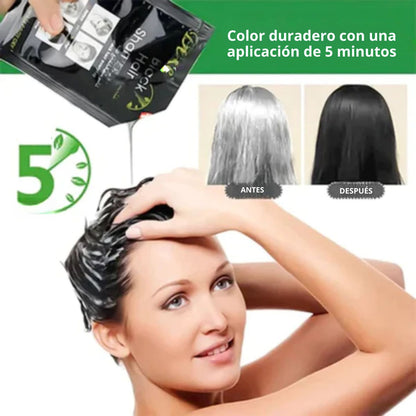 Shampoo Cubre Canas Black Hair Sachet Caja 10 Unidades